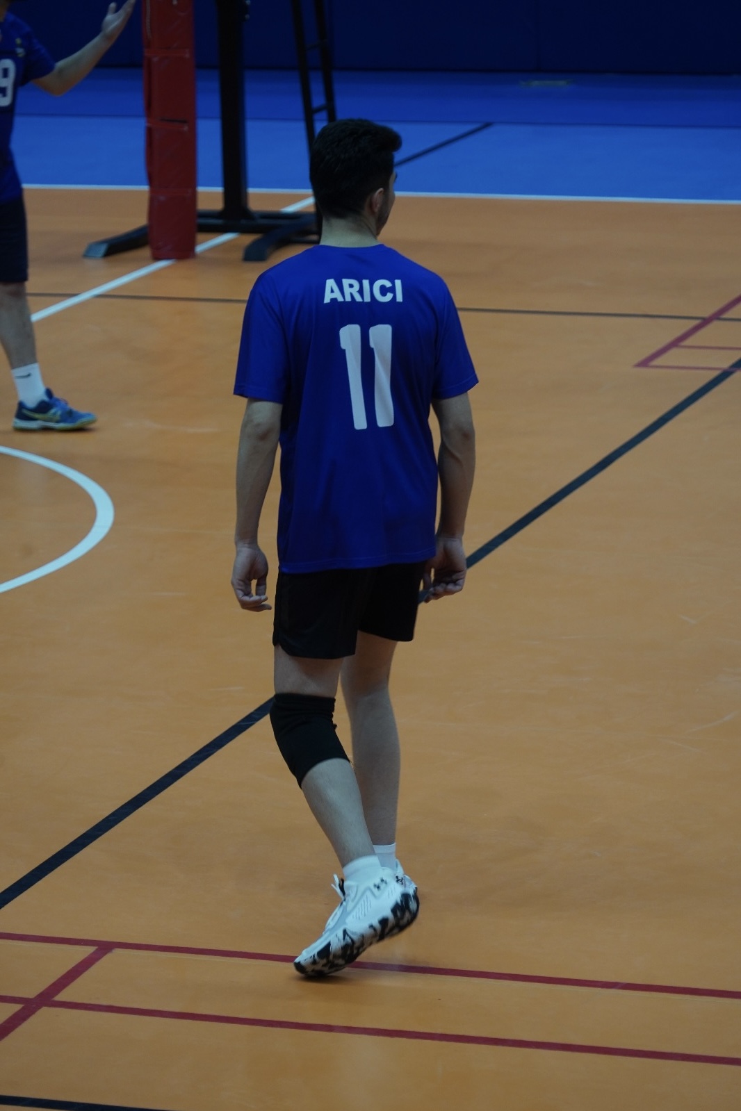 Fatih arıcı